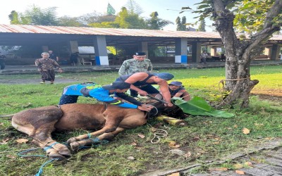 STIKES Majapahit Peringati Idul Adha 1446 H dengan Semangat Kebersamaan dan Berbagi